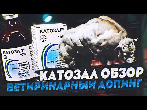 Видео: Катозал Бутафосфан - ветеринарный допинг обзор (перезалив)