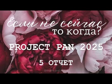 Видео: PROJECT PAN 2025 ОТЧЕТ 5