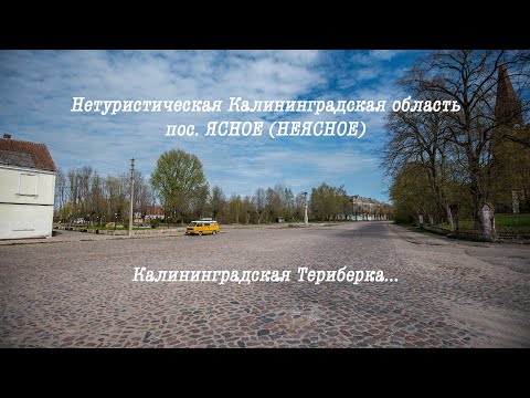 Видео: КАЛИНИНГРАДСКАЯ ТЕРИБЕРКА - пос.ЯСНОЕ. Нетуристическая Калининградская область. (Trip_555 Часть 1)