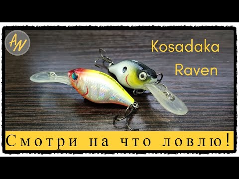 Видео: НЕ ХОДИ за голавлем без этой приманки! Обзор Kosadaka Raven