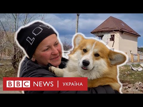 Видео: 16 собак у машині: як жінка вивезла тварин з окупації