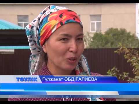 Видео: Тұрғын үйдің жертөлесі саунаға айналды