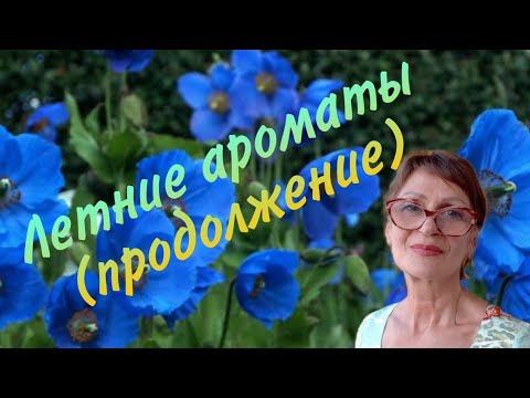 Видео: Летние ароматы( продолжение)