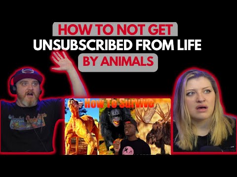 Видео: Как не отписаться от Life by Animals @mndiaye_97 | HatGuy и @gnarlynikki React