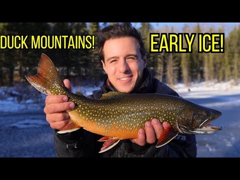 Видео: Утиные горы, Манитоба | ТРОФЕЙНАЯ ЛОВЛЯ ФОРЕЛИ ПО РАННЕМУ ЛЕДУ! (ТОНКИЙ ЛЁД!)