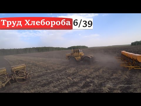 Видео: Подготовка К-700А к посеву, МАЗ-5551 на учЁт, сев, раскидываю удобрения на КОЛЁСНОМ дт-75.