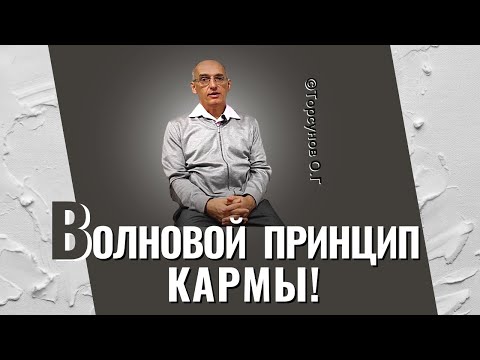 Видео: Волновой принцип кармы! Торсунов лекции