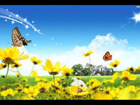 Видео: Приказка за приятелството