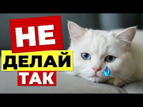 Видео: 7 жестов хозяина, которые кошка воспринимает как ПРЕДАТЕЛЬСТВО