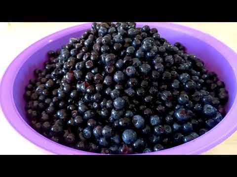 Видео: Обалденно Вкусный Джем из Черники.Четыре Способа Заготовки Черники На Зиму.