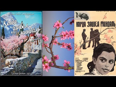 Видео: Когда зацвёл миндаль