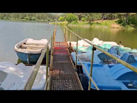 Видео: На мен ми харесва!