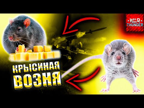 Видео: НЕ ИГРАЙ КАК КРЫСА В WAR THUNDER / Крысиная возня