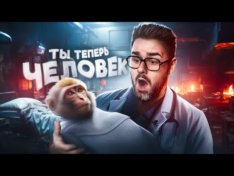 Видео: Жуткий Эксперимент. Сможет ли Обезъяна Стать Человеком? / ШЕРОН