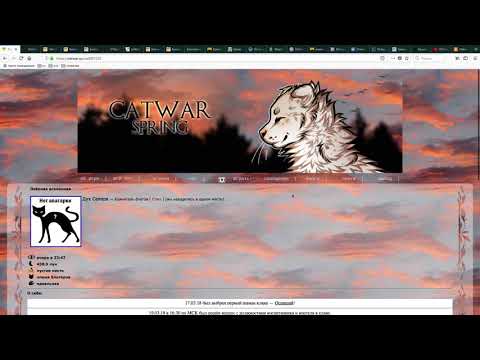Видео: Северный Клан / обряд с росомахами / CatWar