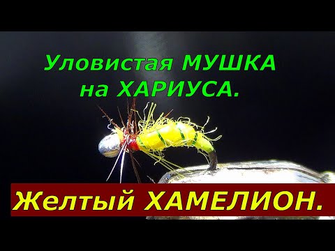 Видео: Ловчая-МУШКА для Ловли ХАРИУСА/Желтый МАГИЧЕСКИЙ Хамелеон.