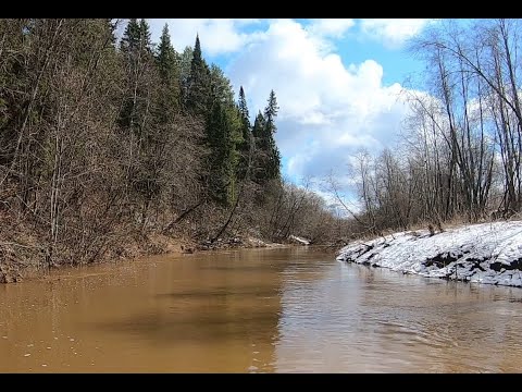 Видео: Реки Кумена и Большая Кумена 27-29.04.2020