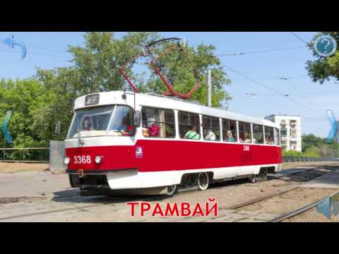 Видео: Транспорт и спецтехника, видео для детей, изучаем транспорт и звуки. Машинки слайд шоу