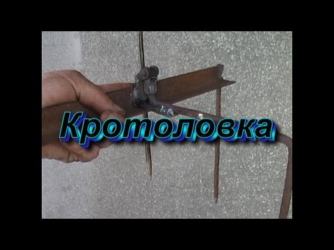 Видео: Кротоловка (для ловли слепца)