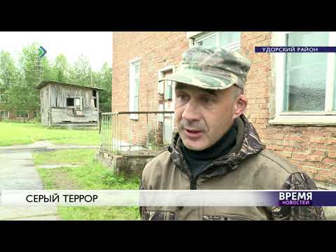 Видео: Нападение в Ёдве: главное