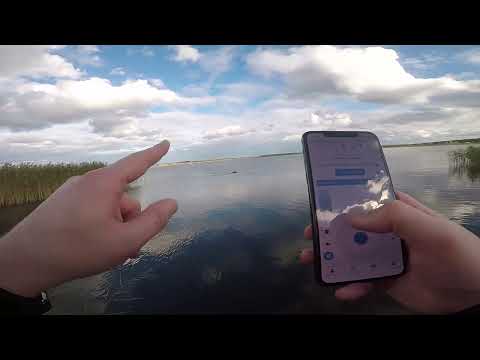 Видео: Сканування області корабликом з автопілотом CarpBite та ехолотом Deeper