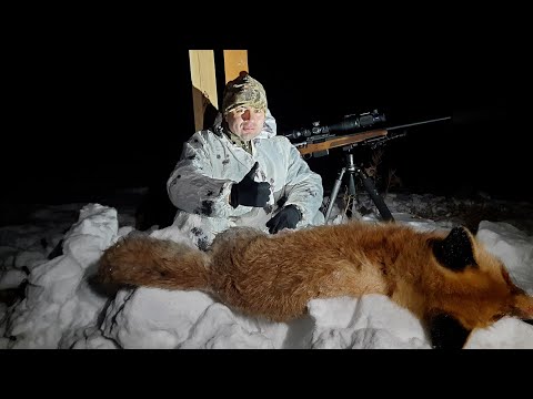 Видео: Охота на лисицу на пересечении троп с тепловизионной насадкой  Longot Mate Y050 (IRAY MAH50)