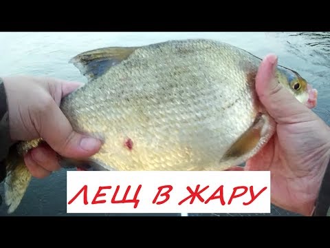 Видео: Вечерняя ловля леща в выходной день в черте города. Рыбалка на леща с лодки в жару.
