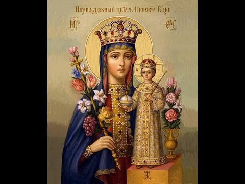 Видео: Акафист Божией Матери перед иконой "Неувядаемый Цвет" 16.04