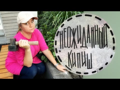 Видео: 6. Секреты пересадки🍀Завышенная клумба🍀 Расстояние между растениями🍀 Кто я по профессии?🍀