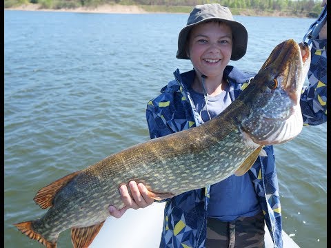 Видео: Щука 5.400 на Rudra 130SP