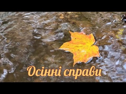 Видео: в Мічигані дуже гарна осінь. Починаємо ремонт ще однієї кімнати