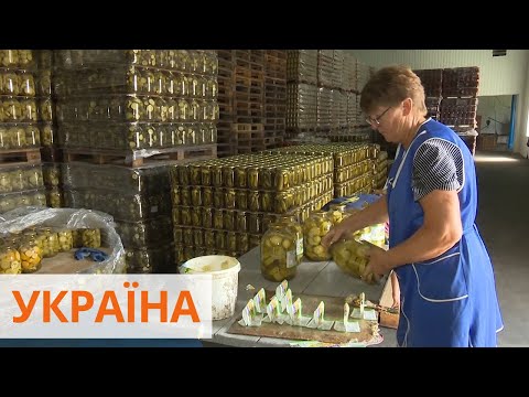 Видео: Консервация в промышленных масштабах. Как небольшой завод в Хмельницкой области кормит весь мир