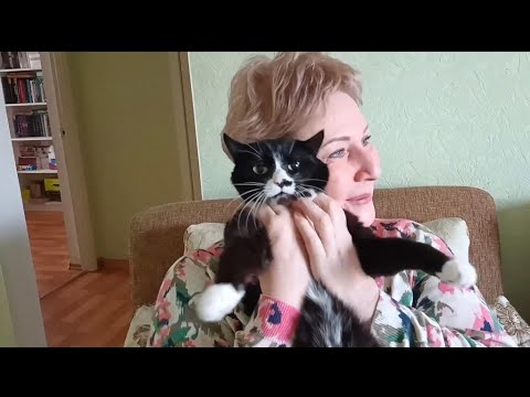 Видео: В ГОСТЯХ У ДОЧЕРИ. ЛЮТИК В ШОКЕ,- ЗАБРАЛИ ЛЮБИМЫЙ КОВЕР.