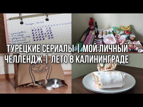 Видео: vlog: Зимородок | что нового? | летний Калининград | 05-06.07.2025