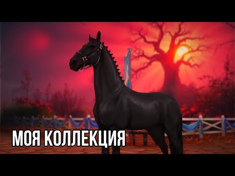 Видео: Моя коллекция пород | Часть 2 | Star stable online
