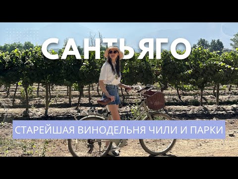 Видео: Сантьяго. Вино, еда, парки!