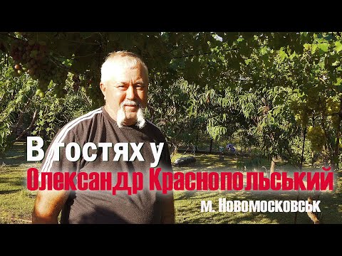 Видео: Горизонтальна шпалера. В гостях у Олександра Краснопольського.        м. Новомосковськ.