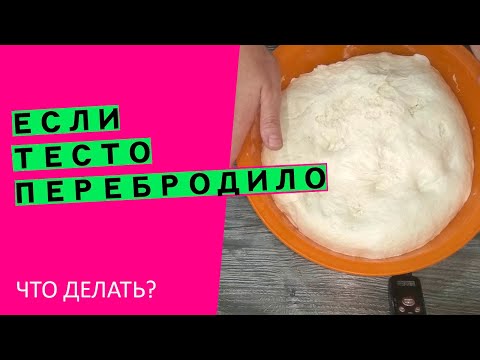 Видео: Если тесто перебродило😨 и ОПАЛО!  😱 Что делать? {Наглядный эксперимент}