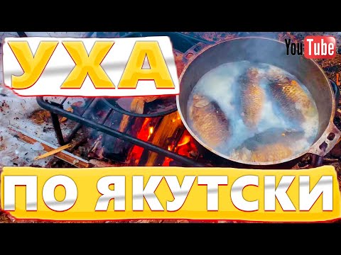 Видео: Уха из карася по Якутски / Неудачная охота #уха#карась#уха по якутски#вкусная уха#