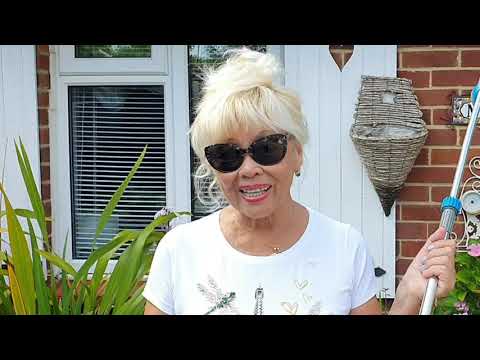 Видео: 389. ПРОЙДЕМТЕ В САД?  Я ПОКАЖУ ВАС РОЗАМ... ИЛИ ВРЕМЯ ПОЛИВАТЬ!