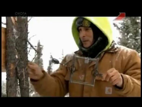 Видео: Охотники за пушниной 4