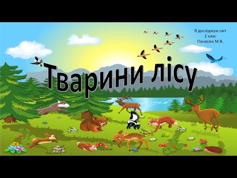Видео: Тварини лісу.
