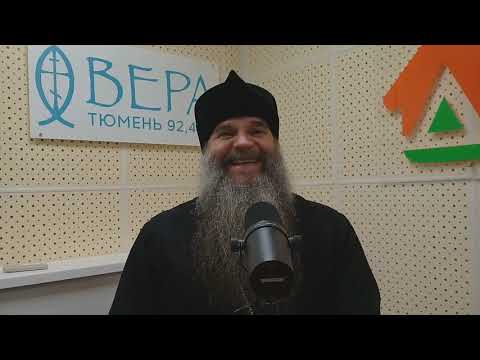 Видео: Почему рушатся наши семьи. Протоиерей Николай Цирке