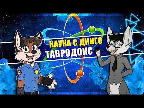 Видео: 🦊 ФУРРИ ТАВРЫ, КЕНТАВРЫ И ВСЁ О НИХ - ТАВРОДОКС feat ELWOOD SHAMROCK [НАУКА С ДИНГО] 🐺