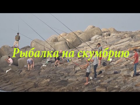 Видео: Рыбалка на скумбрию