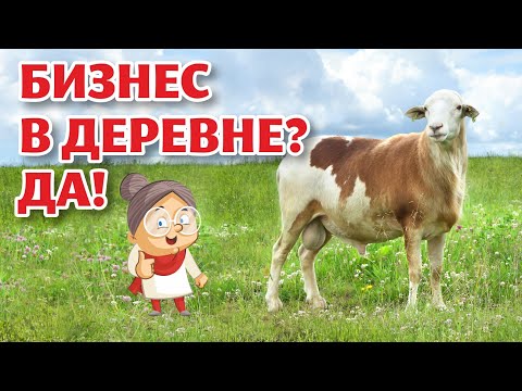 Видео: Чем ЗАНИМАТЬСЯ в ДЕРЕВНЕ? Катумские овцы! Одни плюсы и никаких минусов!