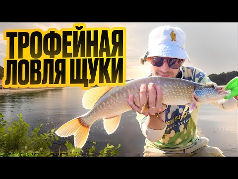 Видео: ТРОФЕЙНАЯ ЩУКА на реке Обь. Эту рыбалку мы запомним надолго