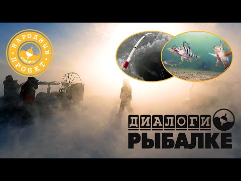 Видео: Рыбачим в снежную бурю. МЧС предупреждал, а рыба все равно клюет! ;)