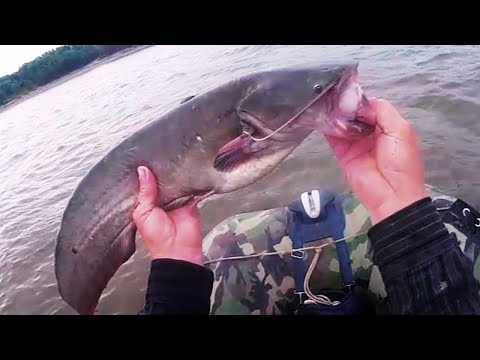 Видео: Рыбалка на перемёт,  первая рыба ! Ловля сома на перемёт