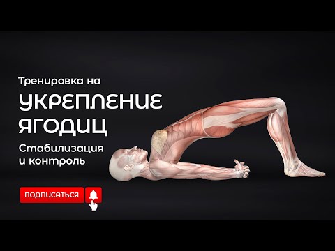 Видео: Тренировка на укрепление ягодиц. Стабилизация и контроль. #тренировка #спорт